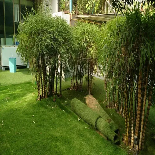 Landscape Artificial grass