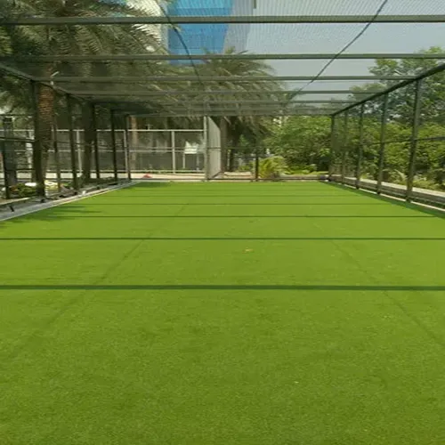 multisport grass