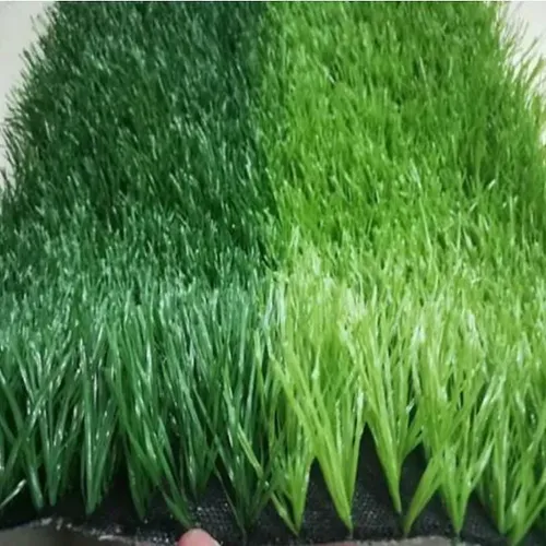 FOOTBALL Ground Artificial GRASS